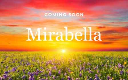 A field of flowers with a sunset in the background.