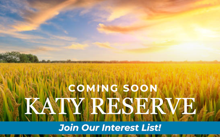 A field of yellow flowers.